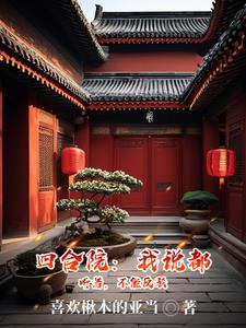 四合院:我傻