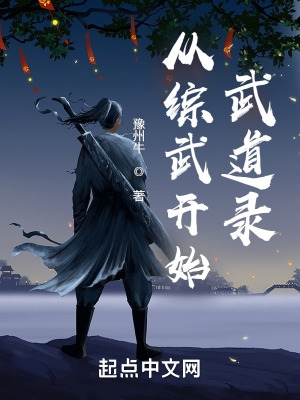 从综武开始的传说